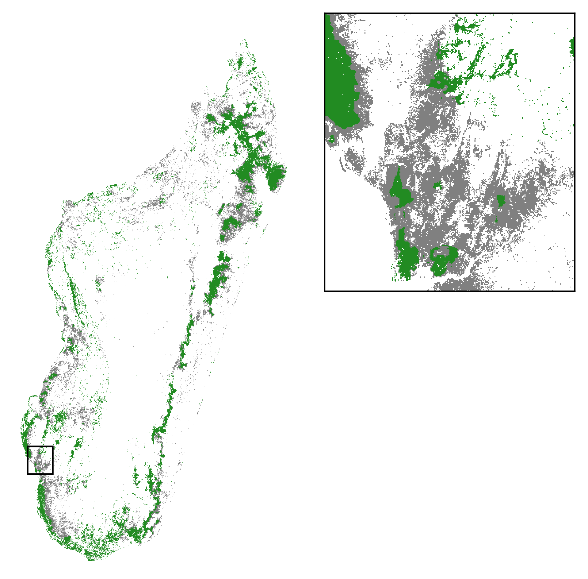 Deforestation sur la période 2010-2050 et couverture forestière en 2050 à Madagascar. Nous projetons la couverture forestière à l’horizon 2050 en considérant une déforestation moyenne annuelle de 100 000 ha/an. Vert: forêt résiduelle en 2050; gris: déforestation sur la période 2010-2050.