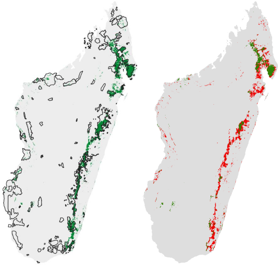 Zones de refuge climatique menacées de déforestation pour 55 espèces de lémuriens. Figure de gauche: en vert, les zones de refuge climatique pour 55 espèces de lémuriens en 2085 (RCP 8.5); en noir: le réseau d’aires protégées. Figure de droite: en rouge, les zones de refuge climatique en 2085 menacées de déforestation; en vert: les zones de refuge climatique à faible risque de déforestation.