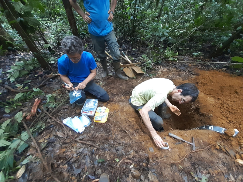 Soil_samples_metradica.jpg